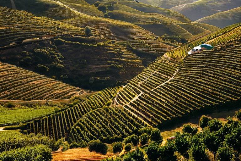 The Hidden Trails of Portugal’s Douro Valley