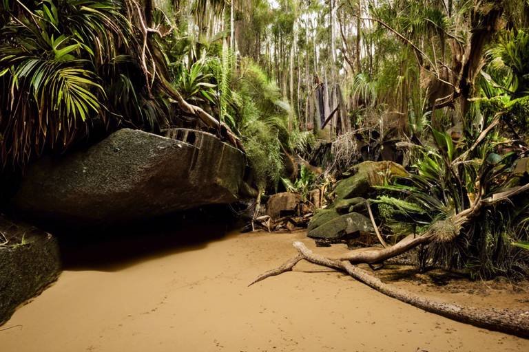 Exploring the Secret Spots of Australia’s Gold Coast