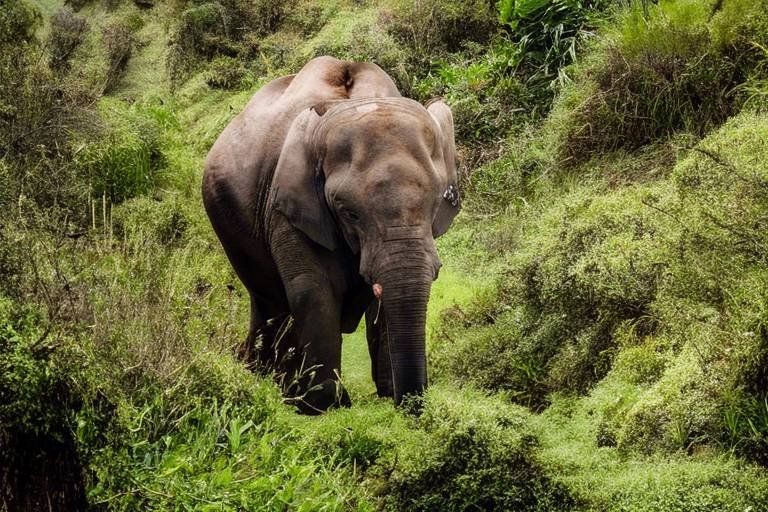 Sustainable Practices for Exploring South Africa’s Knysna