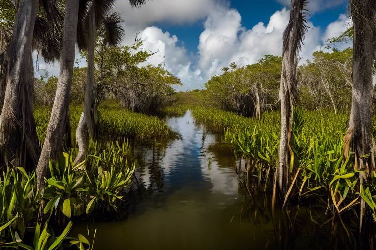 Exploring the Rich Ecosystems of Everglades National Park
