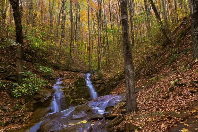 Exploring the Scenic Trails of the Blue Ridge Mountains