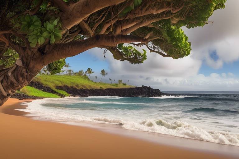 The Secret Beaches of the United States’ Maui Island