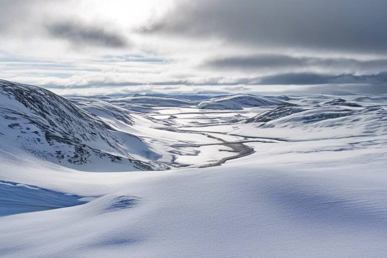 The Untouched Beauty of Norway’s Hardangervidda Plateau