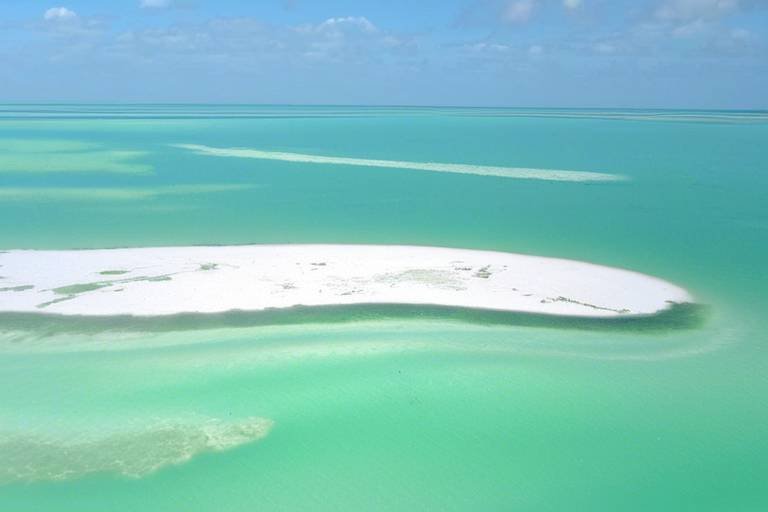 The Secret Lagoons of Mexico’s Holbox Island