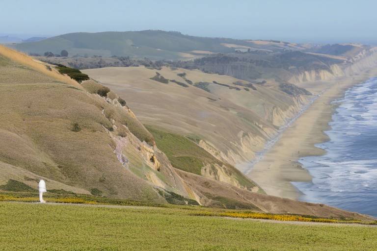 The Top Birdwatching Spots in Point Reyes National Seashore
