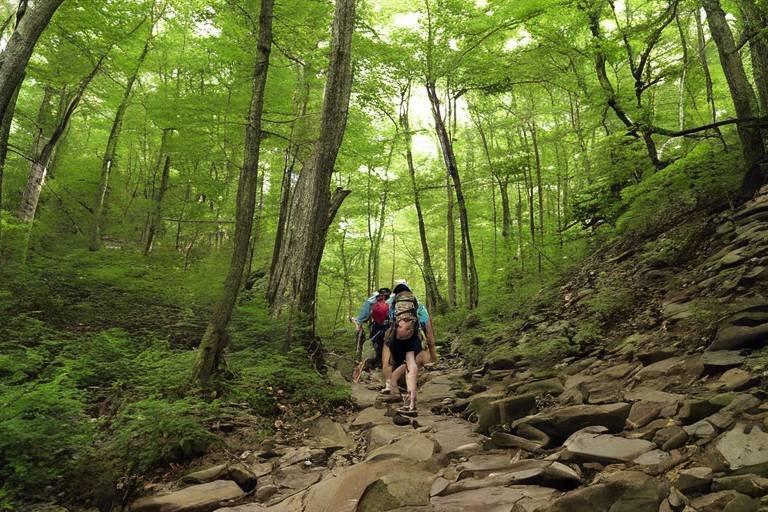Hiking the Famous Appalachian Trail