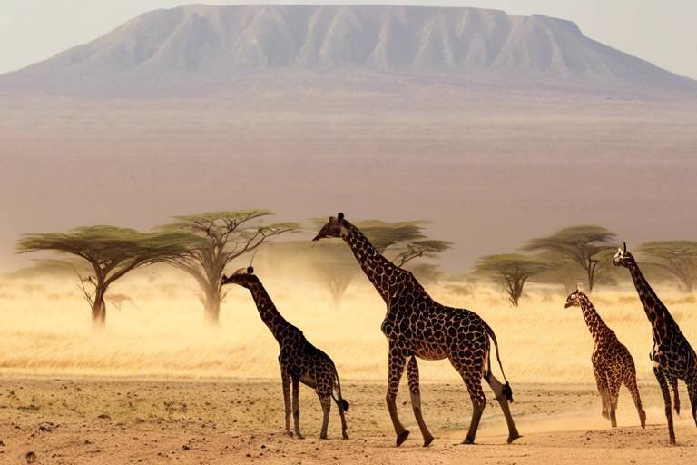 The Best Places to Visit for Adventure Travel in Africa