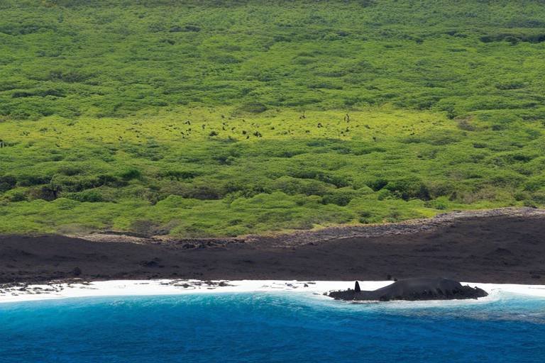 Reducing Your Carbon Footprint in the Galápagos Archipelago