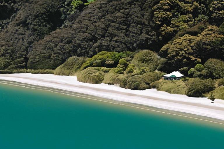 The Quiet Retreats of New Zealand’s Abel Tasman National Park