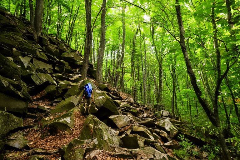 Hiking the Rugged Trails of the Blue Ridge Mountains