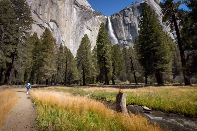 Exploring the Scenic Trails of Yosemite National Park