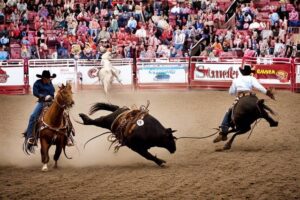 Canada's Calgary Stampede - Rodeo and Tradition