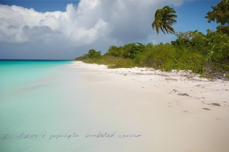 Exploring the Secluded Beaches of Cuba’s Cayo Coco