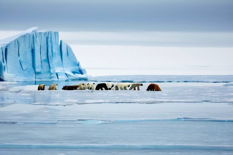 Sustainable Travel Strategies for Exploring the Canadian Arctic