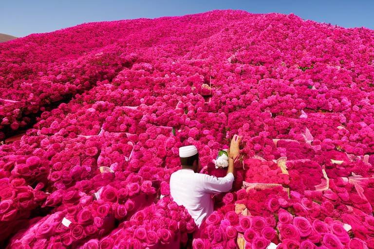 A Guide to the Vibrant Colors of Morocco's Rose Festival
