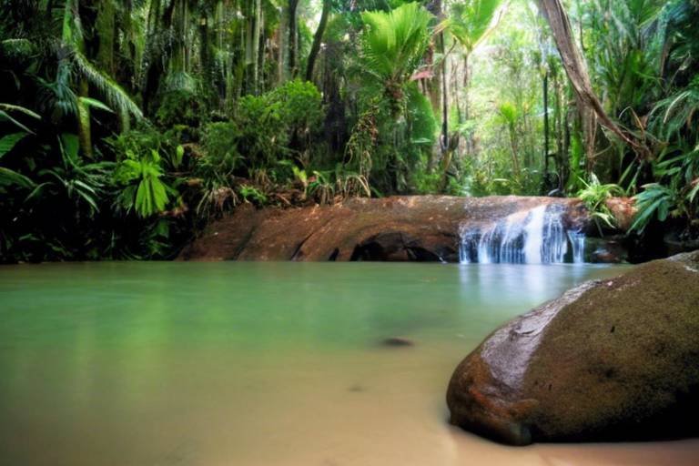 Eco-Friendly Ways to Enjoy Australia’s Daintree Rainforest