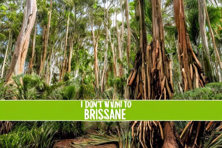 Eco-Conscious Tips for Visiting Australia’s Brisbane