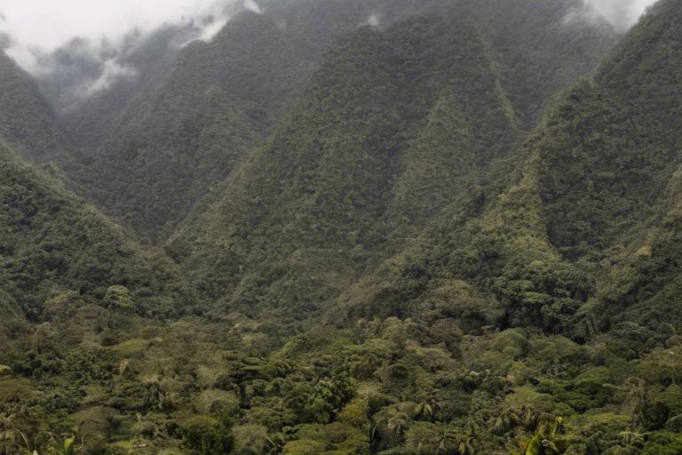The Quiet Corners of Peru’s Manu National Park