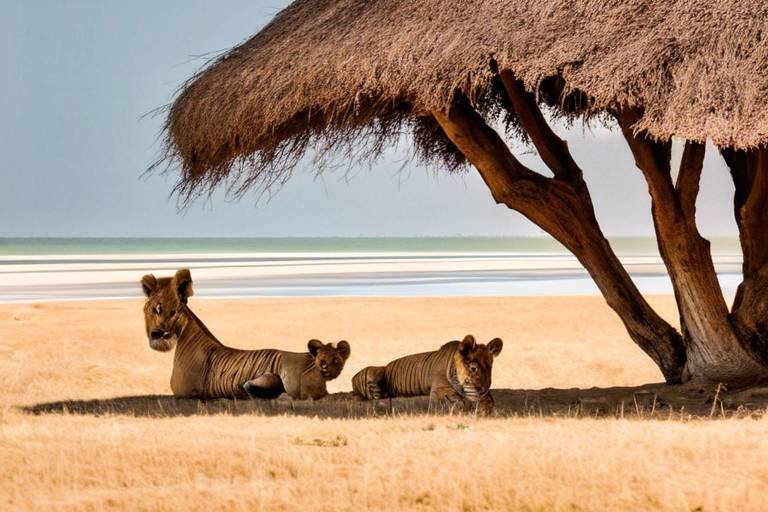 The Best Places to Visit for a Romantic Getaway in Africa