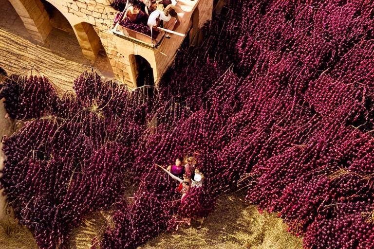 Rioja Wine Harvest Festival - Spain's Best-Kept Secret