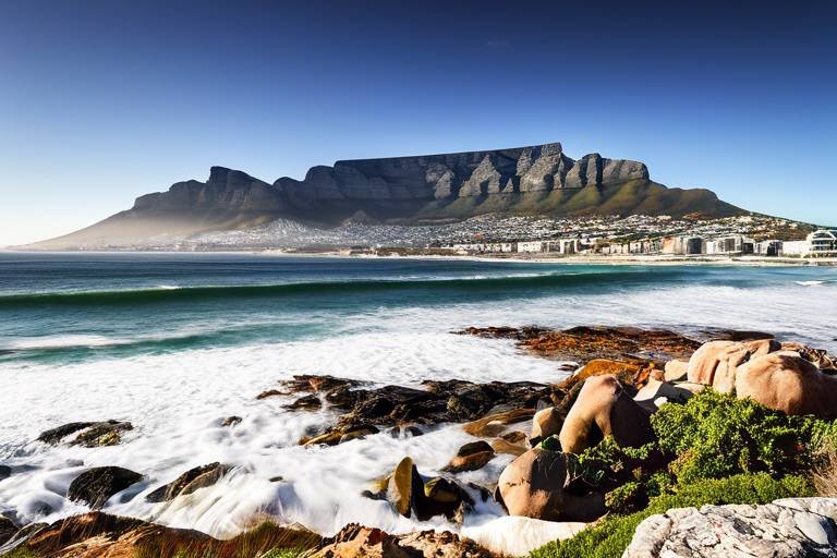 Why Cape Town is the Ultimate Destination for Nature Lovers