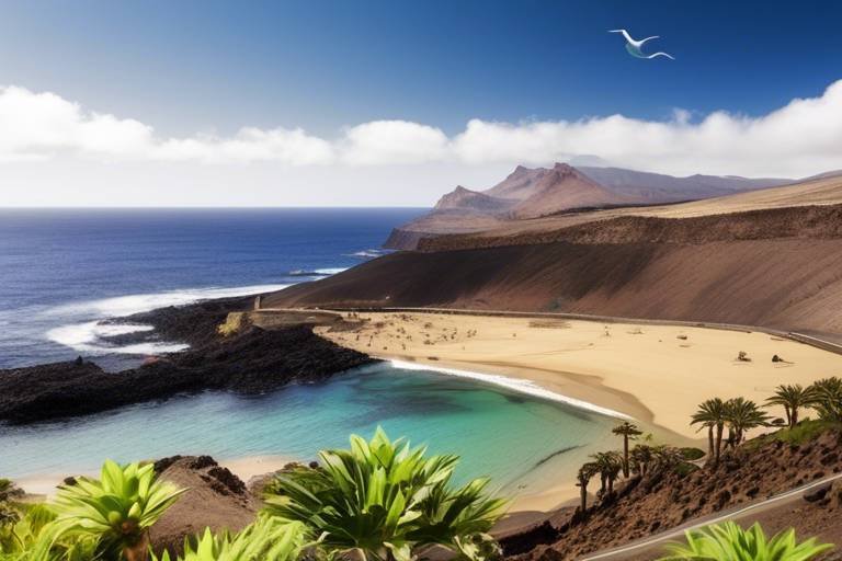 Eco-Conscious Ways to Enjoy Spain’s Canary Islands