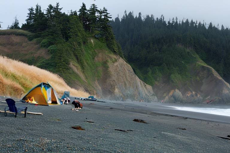The Best Beachfront Campsites in Olympic National Park