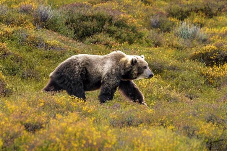Top 10 Wildlife Viewing Spots in Denali National Park