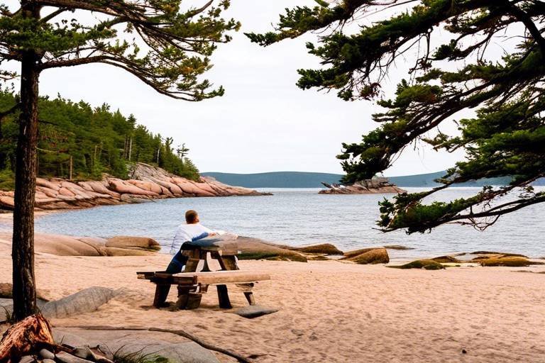 The Best Beachfront Camping Spots in Acadia National Park