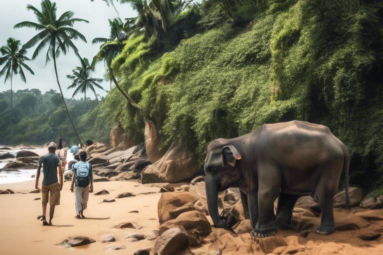 How to Be an Environmentally Friendly Tourist in Sri Lanka