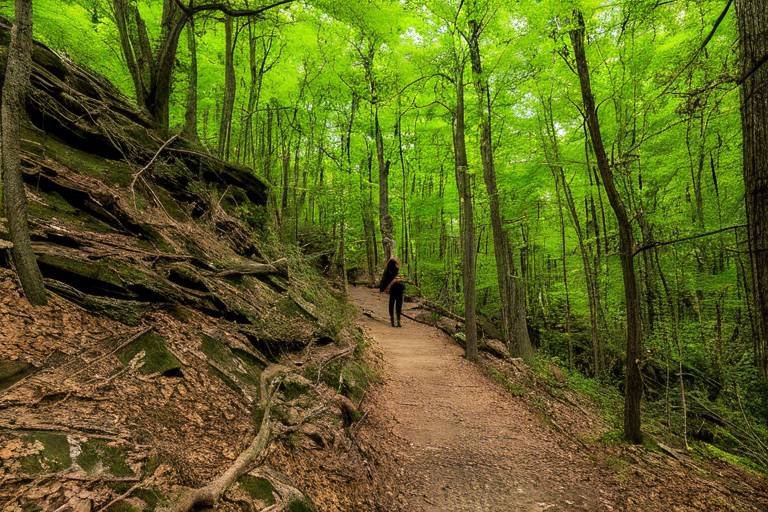 Exploring the Scenic Trails of Shenandoah National Park