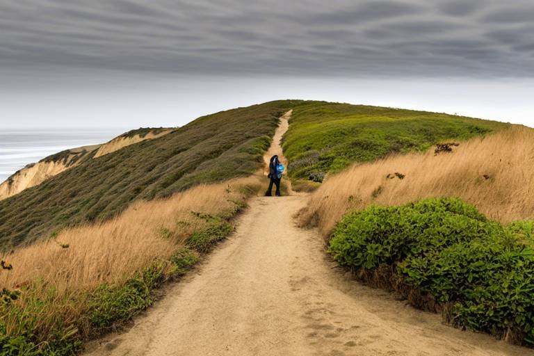 Exploring the Coastal Trails of Point Reyes