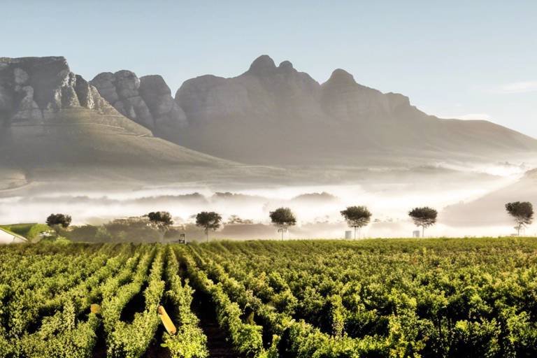 Sustainable Practices for Exploring South Africa’s Stellenbosch