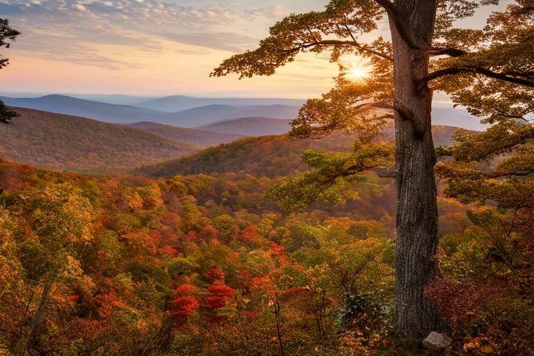 How to Reduce Your Impact in the United States’ Shenandoah National Park